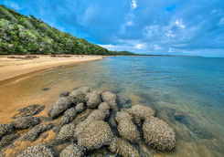 Inhaca Island