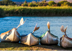 Kayaks