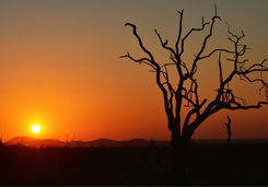 Sunset in Madikwe