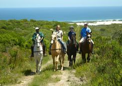 Horse riding on the reserve