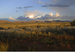 Tswalu view
