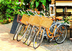 Rental Bikes