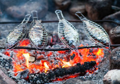 Grilling fish on campfire