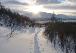 Mountainous landscape in Norway