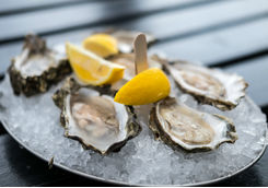 Fresh oysters