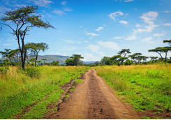 Akagera National Park