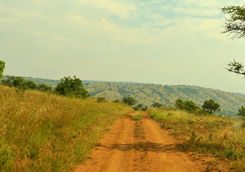 Akagera National Park