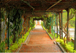 Genocide Memorial walkway