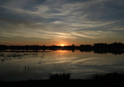 Sunset in Donana