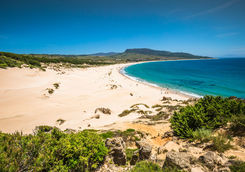 Sand dune of Bolonia beach