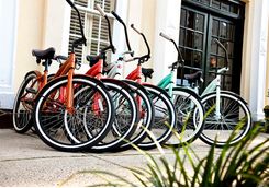 Bikes in Charleston