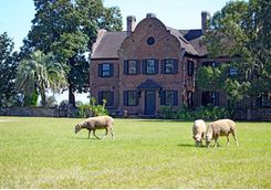 Middleton Place