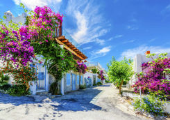 Floral Street in Bodrum