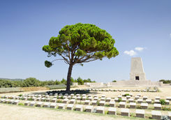 Lone Pine Memorial in Gallipoli
