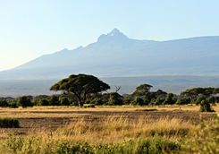 Mount Kenya and savannah