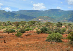 Laikipia plateau landscape