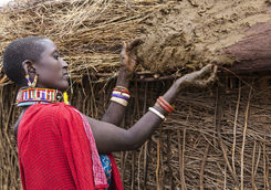 Maasai woman buiding hut putting cows dung on roof