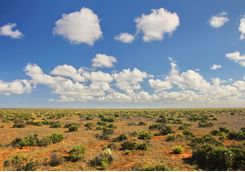 Australian outback