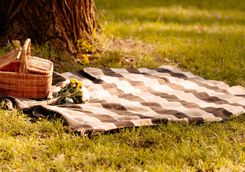 Picnic under a tree