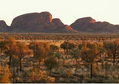 Close up of Kata Tjuta