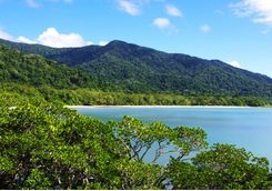 Rainforest and beach