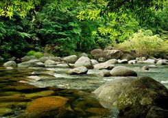 Mossman gorge