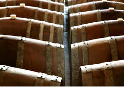 Wine barrels