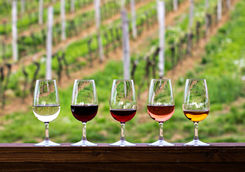 Wine tasting