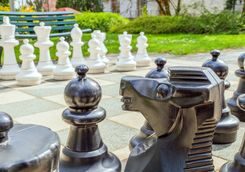 Garden chess