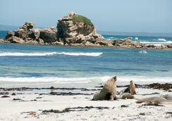 Seal's Bay