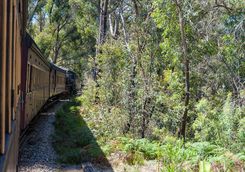 Train through the Blue Mountains