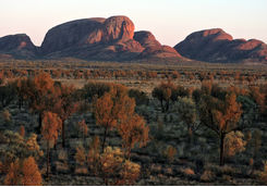 Kata Tjuta at sunrise