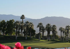 Palm Springs Golf Course