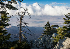 View of Chino Canyon from the Aerial Tramway