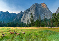 Yosemite National Park