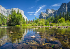 Yosemite National Park