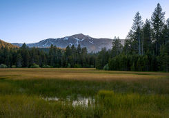 Agricultural field in Lake Tahoe