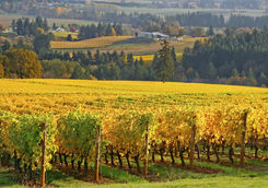 Willamette Valley in Oregon