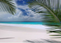 White Sand Beach