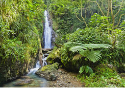 Au Coin Waterfall