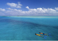 Couple Snorkelling