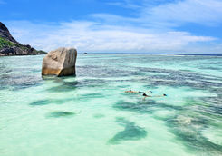 Snorkelling Seychelles