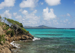 Tobago Cays Marine Park