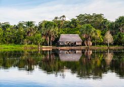 peruvian amazon river