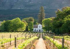 Cape Town winelands