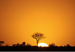 Sunset in the Kruger