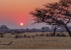 Hwange National Park