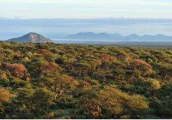 Laikipia landscape