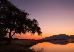 Mana Pools sunset