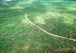 Hwange aerial shot